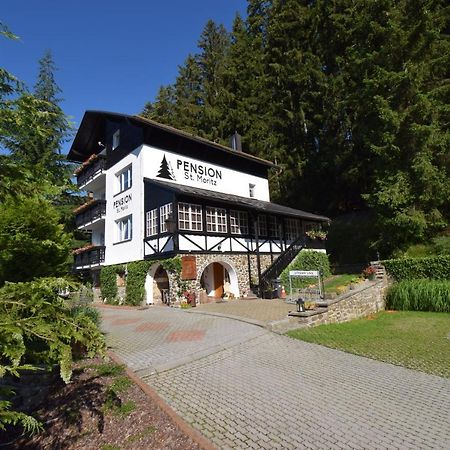 Pension St. Moritz Železná Ruda Zewnętrze zdjęcie